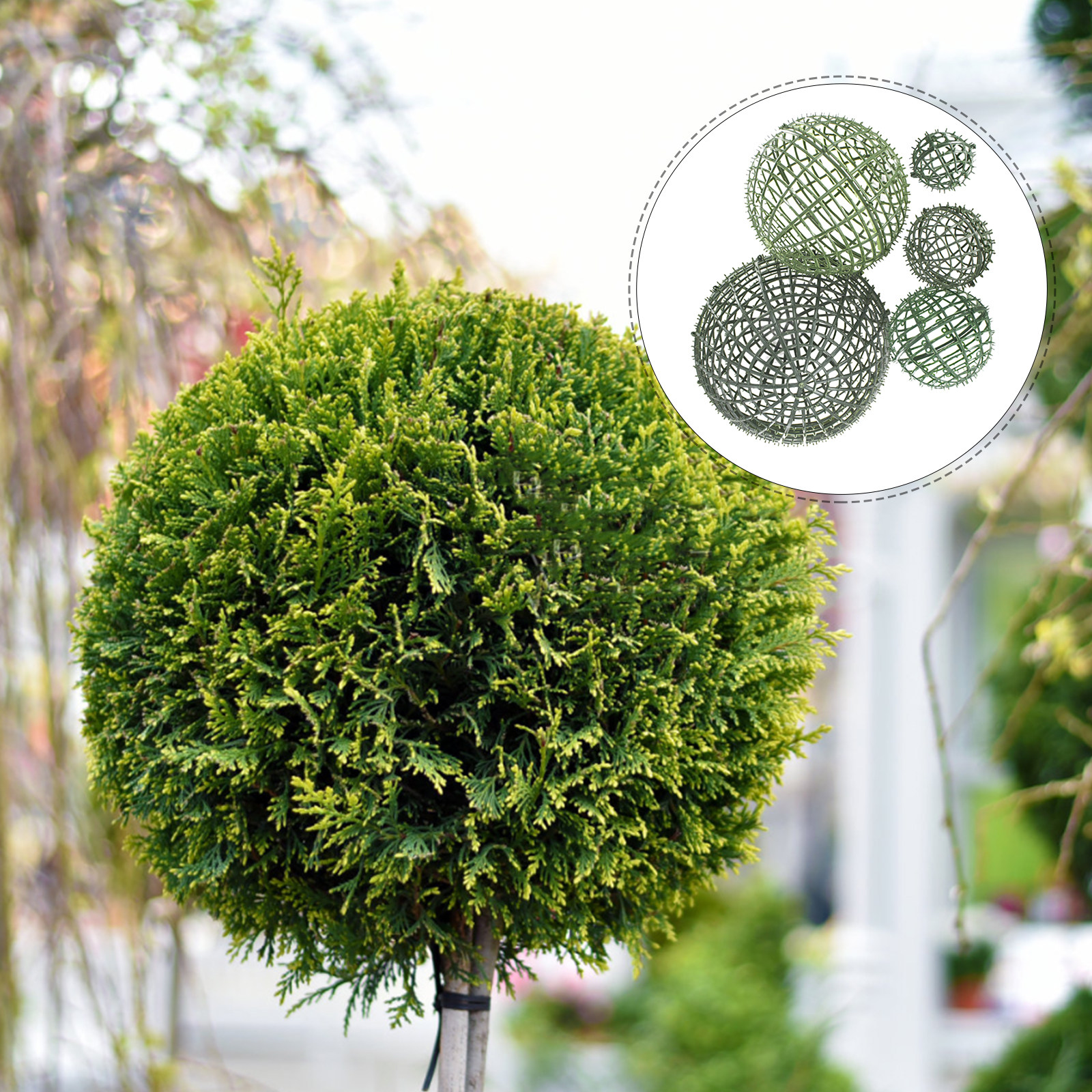 5Pcs Flower Holding Rack Grass – Wedding Support recenzja i cena