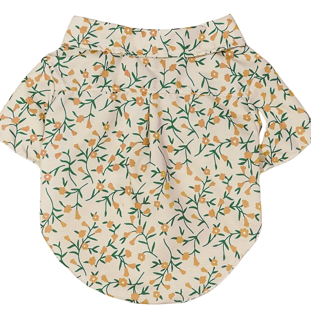 Pet clothes dog dog cat shirt  – Good Floral & Wedding Decor Supply Photos recenzja i cena